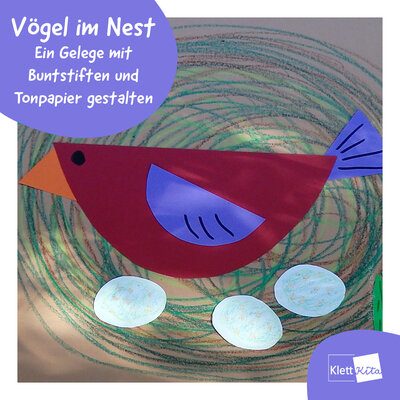 Cover Vögel im Nest
